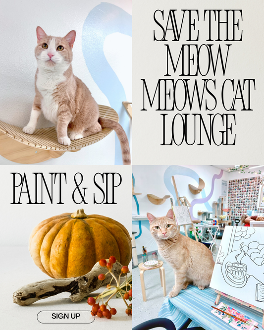 (November 9) Save the Meow Meows Paint & Sip – Fall Edition 🍂