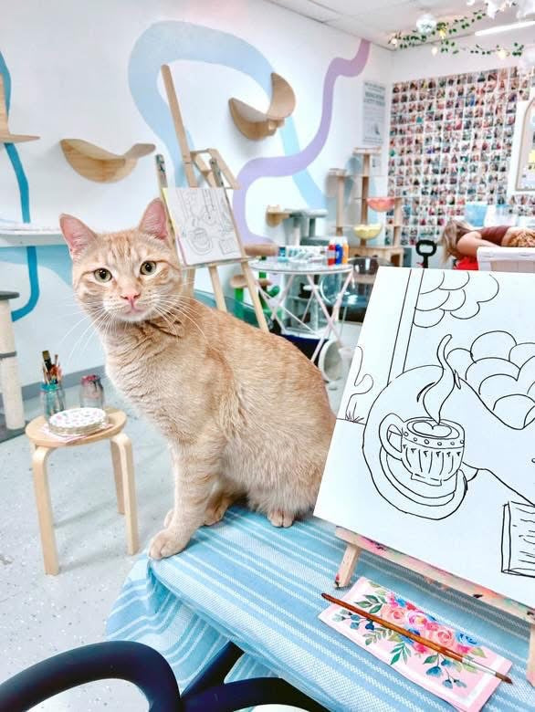 Valentine’s Paint & Sip at the Cat Lounge | Save The Meow Meows (February 1)