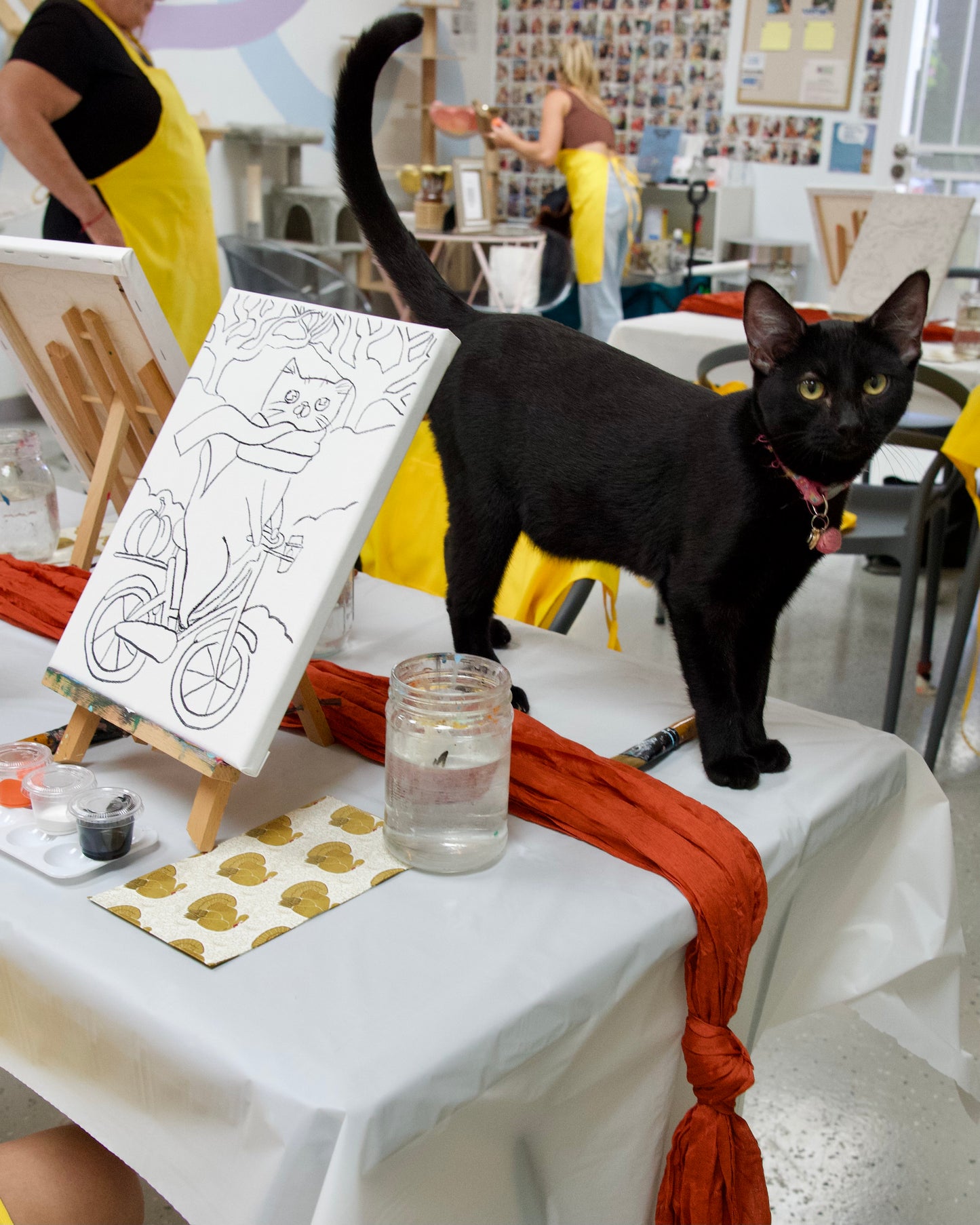 Valentine’s Paint & Sip at the Cat Lounge | Save The Meow Meows (February 1)