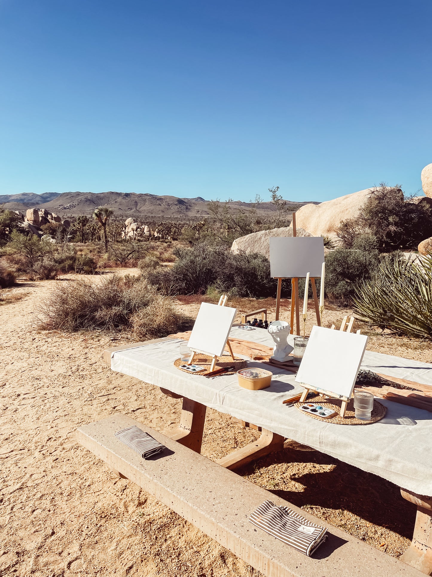 Private Paint Experience: Joshua Tree (2 hr)